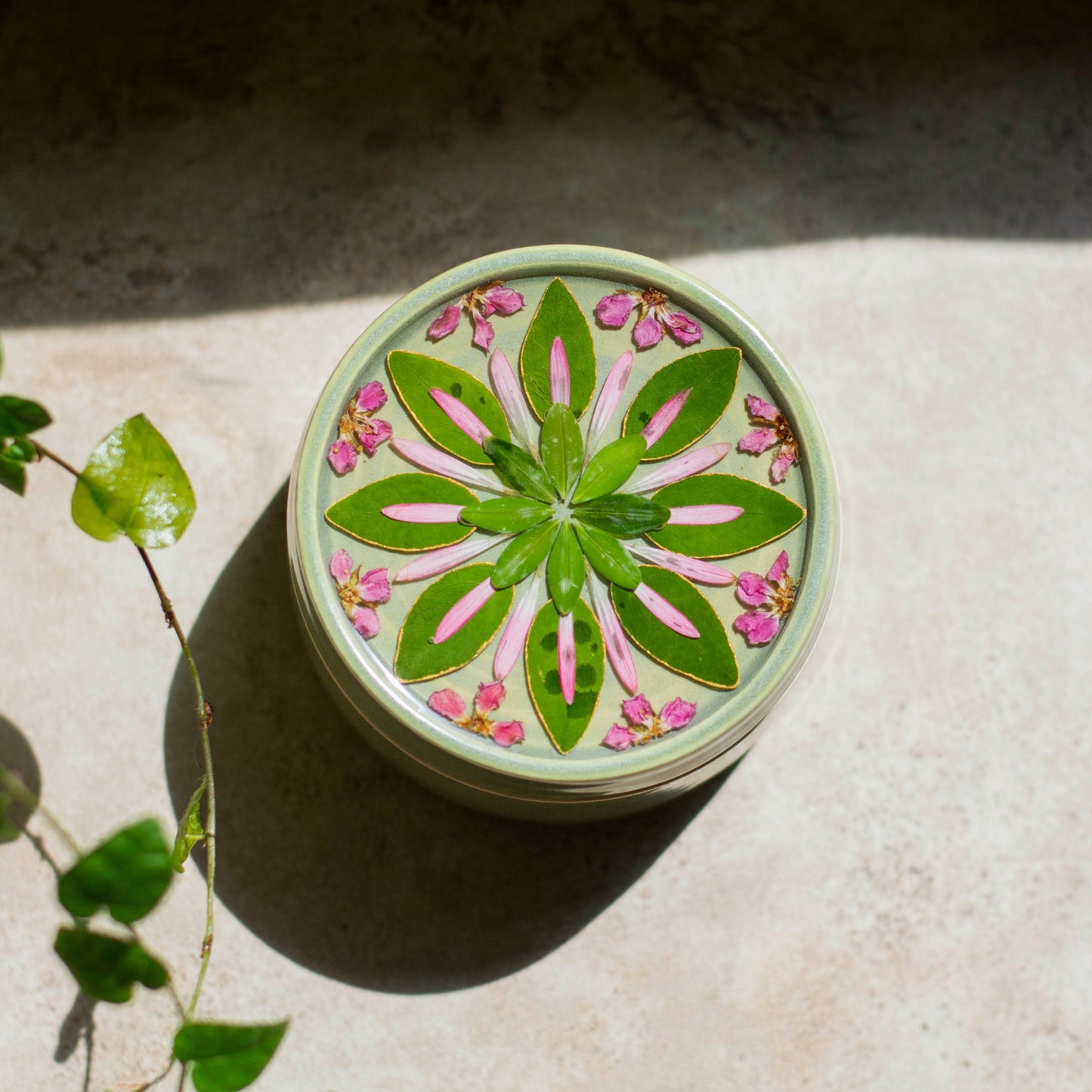 Botanical Jar - Clay Alchemy Studio Collab - Green & Pink