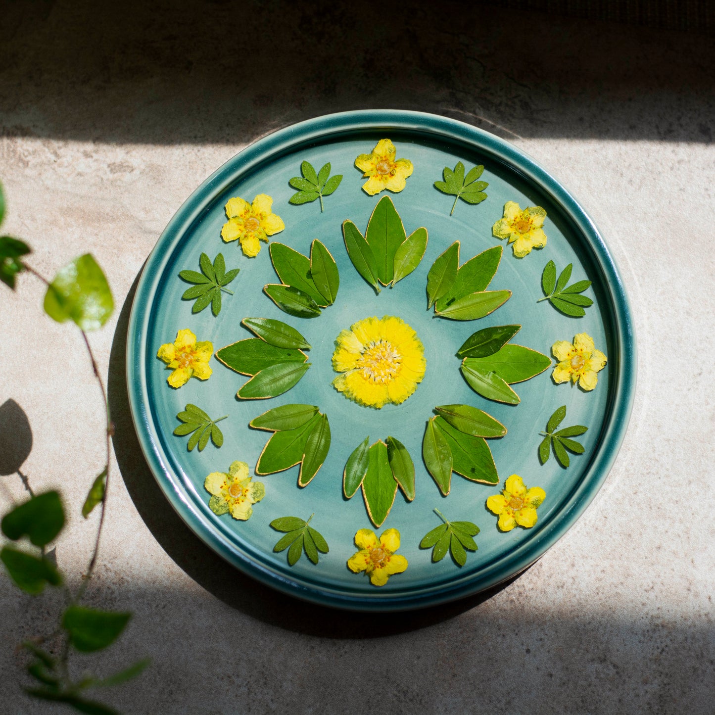 Botanical Tray - Clay Alchemy Studio Collab - Green & Yellow