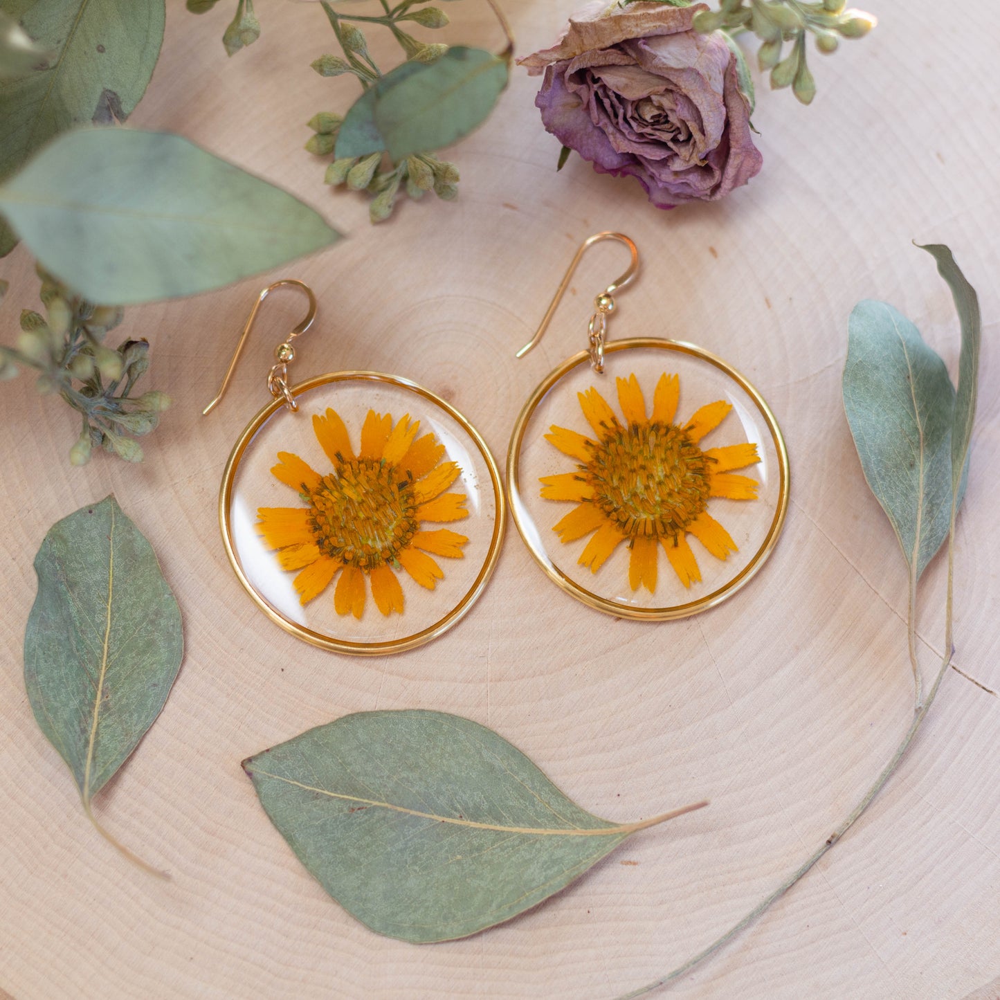 Golden Crownbeard Earrings