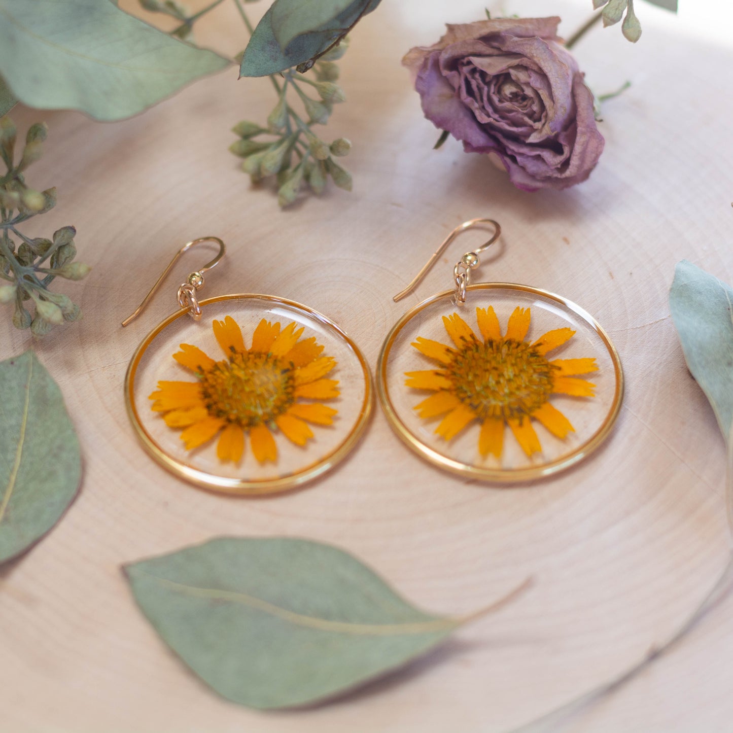 Golden Crownbeard Earrings