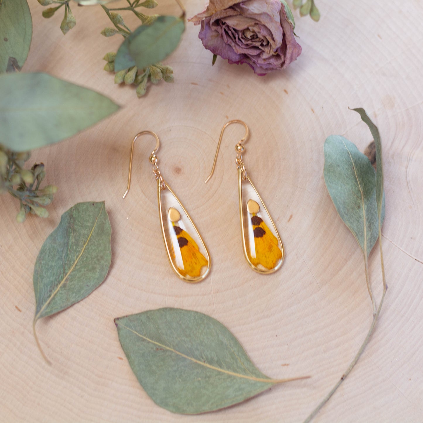 Golden Crownbeard Teardrop Earrings