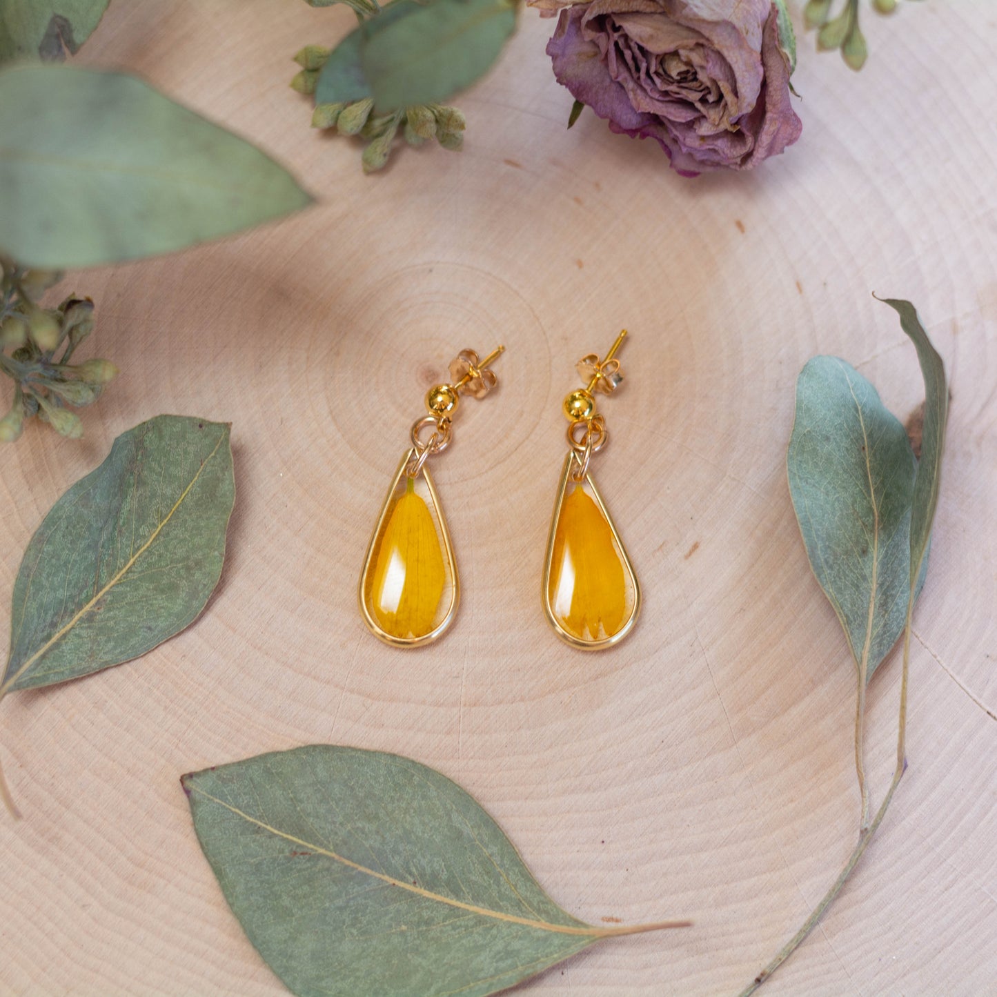 Golden Crownbeard Petal Post Earrings