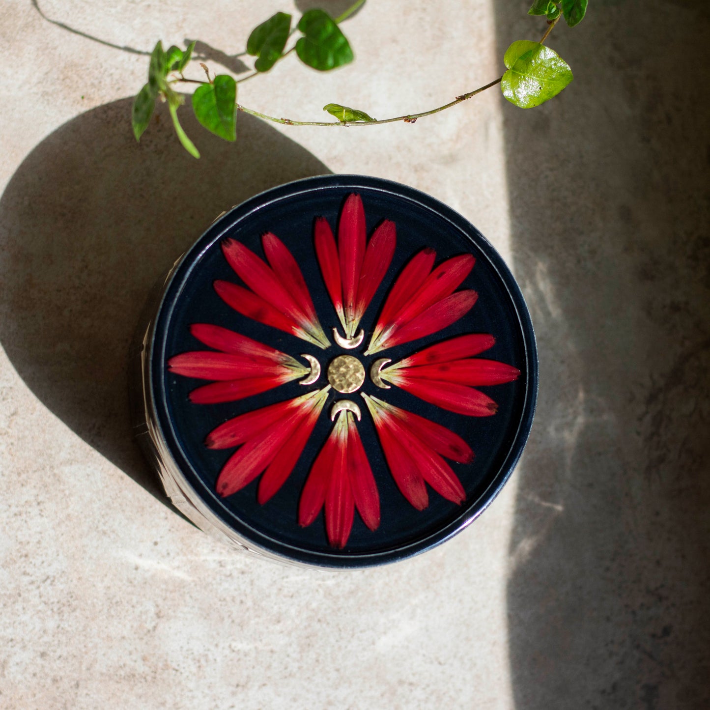 Botanical Jar - Clay Alchemy Studio Collab - Black & Red