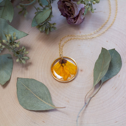 Golden Crownbeard Necklace