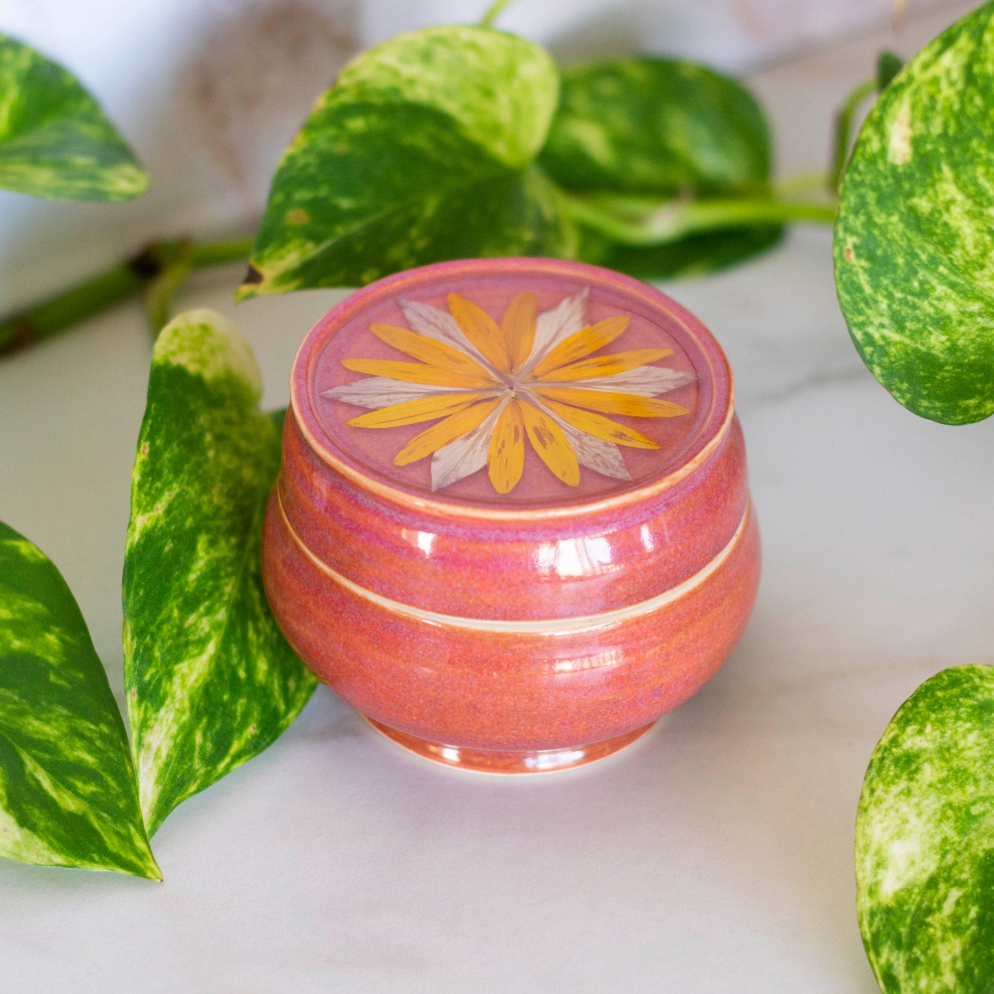 Botanical Jar - Clay Alchemy Studio Collab - Pink Sunflower